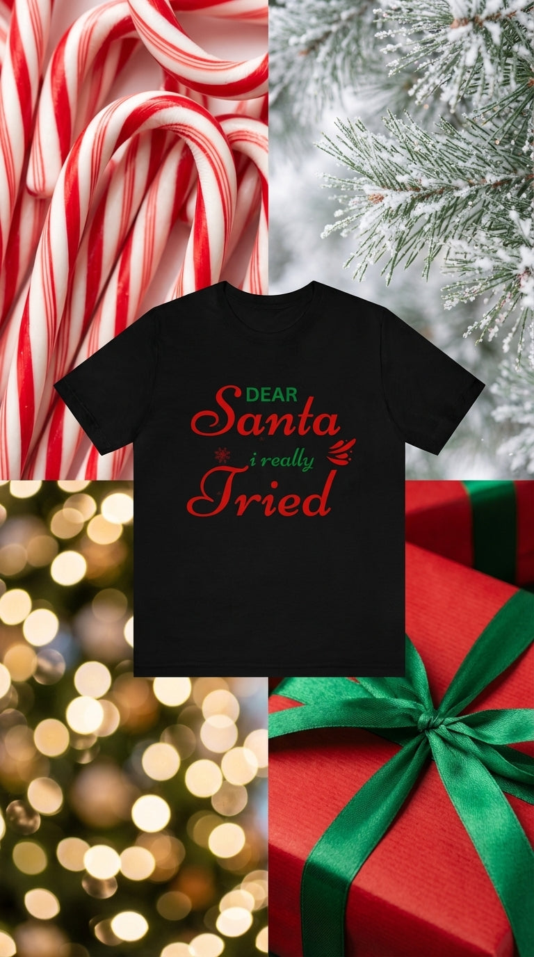 "Dear Santa I Really Tried"